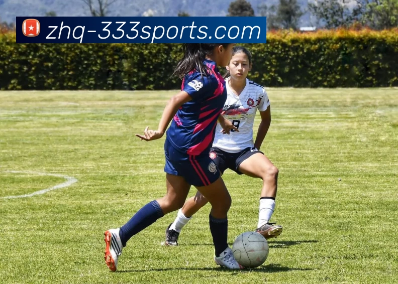 333体育发展历程